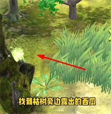 夺笋高手彩蛋攻略(夺笋高手)插图7