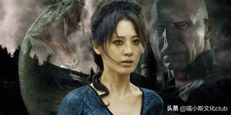 克雷登斯是不是伏地魔(克雷登斯怎么死的)插图1
