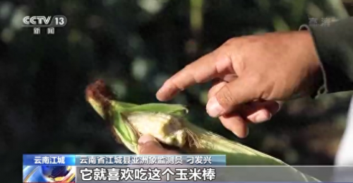 康平连锁食堂排名前十(社区食堂排名前十)插图4