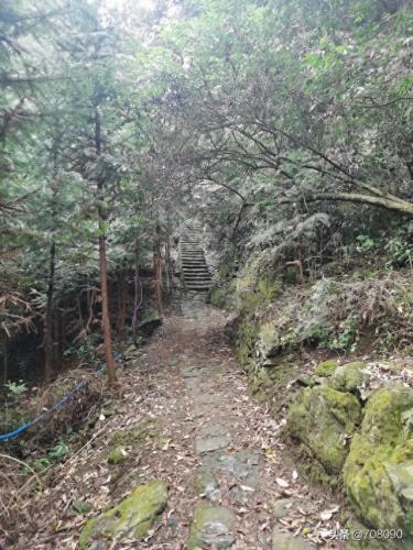 莆田汉堡包加盟排名前十(莆田冷饮加盟总部)插图1