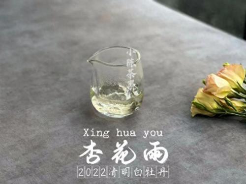 白茶品类排名前十(白茶品牌排名前十名)插图3