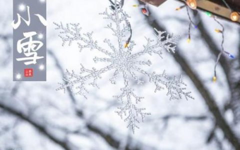 小雪吃什么传统食物-(小雪适合吃什么食物)