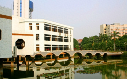 广西二本艺术大学排名前十(广西十大艺术大学排名)