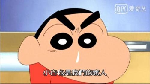 蜡笔小新新番小白排名前十(蜡笔小新新番小白发福了)插图4