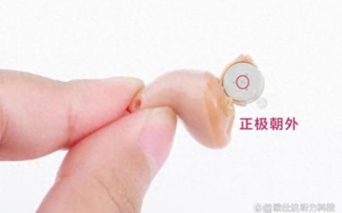 助听器电瓶排名前十(电瓶十大品牌排名大全)