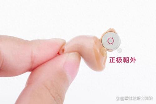 助听器电瓶排名前十(电瓶十大品牌排名大全)插图