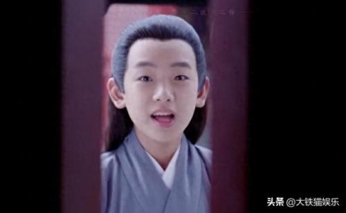 中国童星排名前十(中国最厉害的童星)插图32