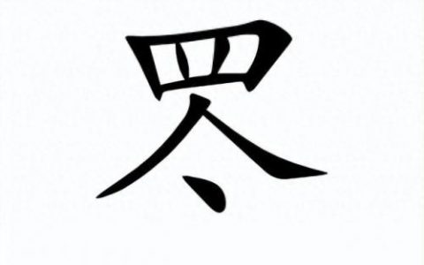 卋罖是什么意思(罖是什么意思)