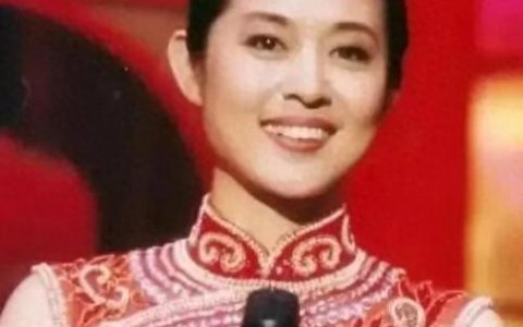 大学生新闻主持人排名前十(央视十大男主持人排名)