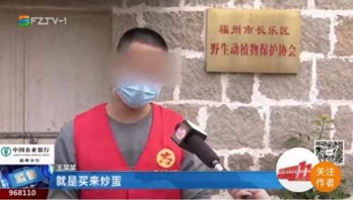 血奴事件(血奴案调查结果)插图21