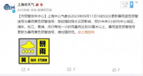 上海暴雨(上海暴雨图片)插图2
