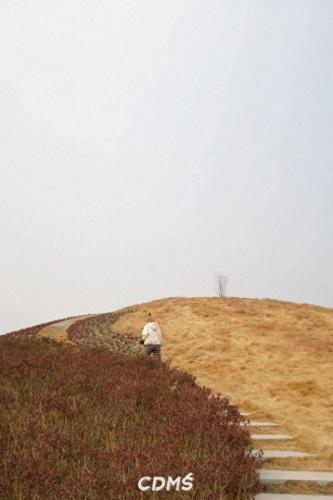 成都十陵镇小吃排名前十(成都十大排名小吃)插图69