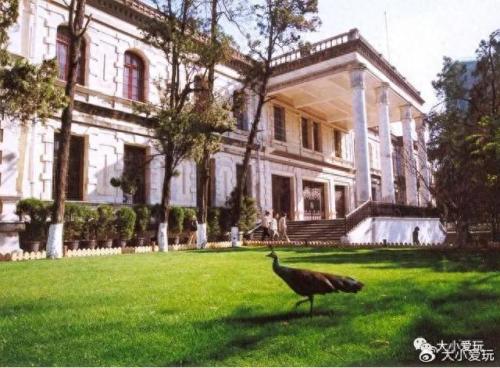 最有味道的大学排名前十(心理学排名前十的大学)插图56