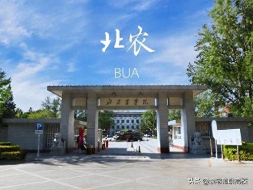佛山市职工学校排名前十(佛山初中排名一览)插图5