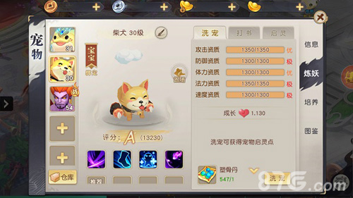 火王宠物怎么战力提升(火王是什么宠物)插图
