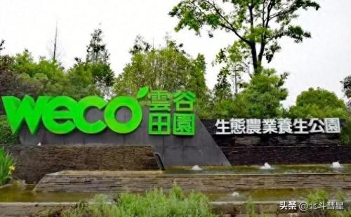 凯里广场美食排名前十(凯里美食一条街最火爆生意)插图26