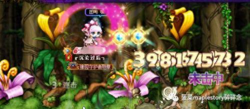 双弩精灵加点(彩虹岛风行弩加点)插图25