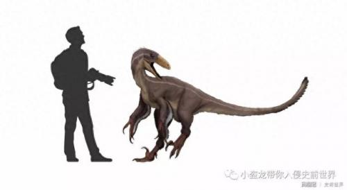 wow化石迅猛龙(魔兽世界白色的迅猛龙)插图33