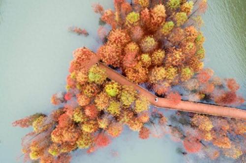 拜登是谁(拜登简历)插图9