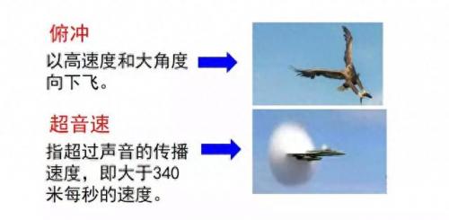 奔的多音字组词(奔多音字怎么区分)插图15