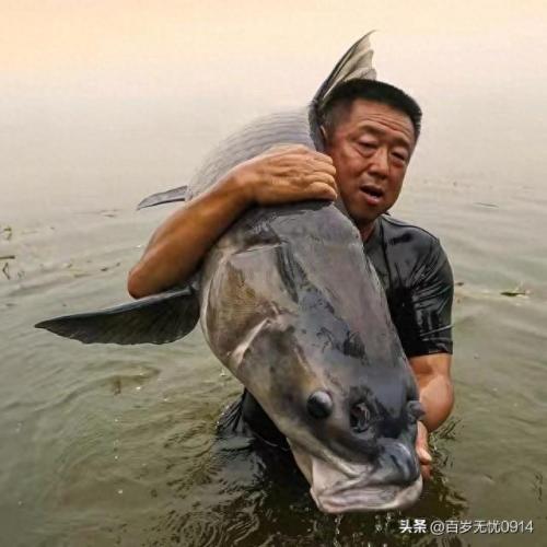 钓鱼大师排名前十(钓鱼大师一览表)插图6