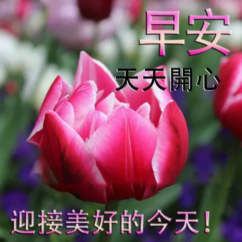 前路漫漫雨纷纷谁在痴痴等(前路漫漫雨纷纷完整版原唱)插图4