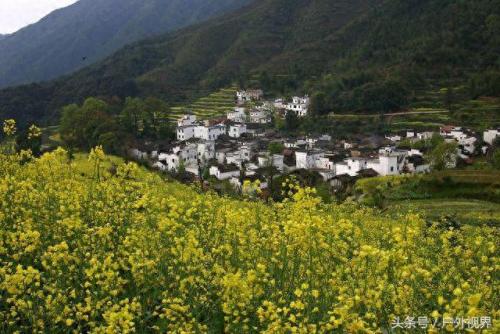 全国村落排名前十(肥西永久村落88个名单)插图12