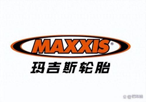 十大轮胎品牌排名前十(十大良心轮胎排行)插图8