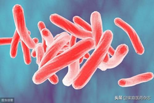 瘟疫排名前十的(老梁说瘟疫72分钟)插图3