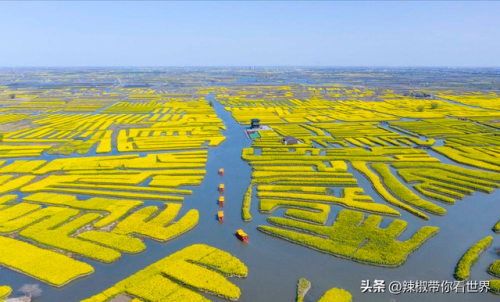 泰州古迹景点排名前十(泰州人文景点排名前十)插图11