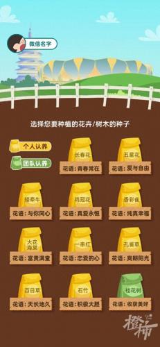 种花小游戏(经营类种花游戏)插图1