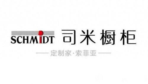 翔安橱柜排名前十(丽博橱柜全国排名)插图4