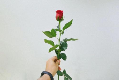 笔记本宽屏壁纸(笔记本壁纸王鸥)插图20