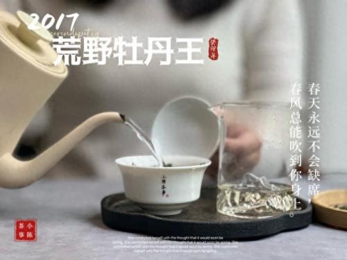 白茶品类排名前十(白茶品牌排名前十名)插图