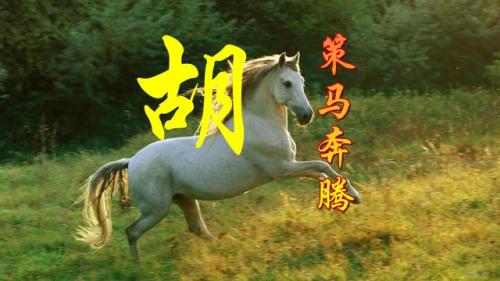 百家姓qq头像(百家姓头像大全真实图)插图38