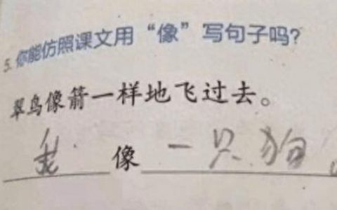大加两笔是什么字(大加二笔有哪些字)