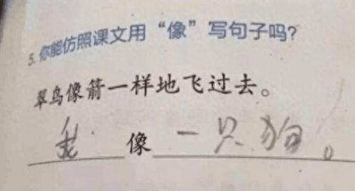 大加两笔是什么字(大加二笔有哪些字)插图