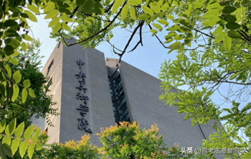 中国前五美院排名前十(那不勒斯美院全球排名)插图