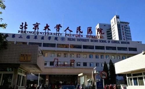 北大资源排名前十(成都北大资源紫境府)插图2