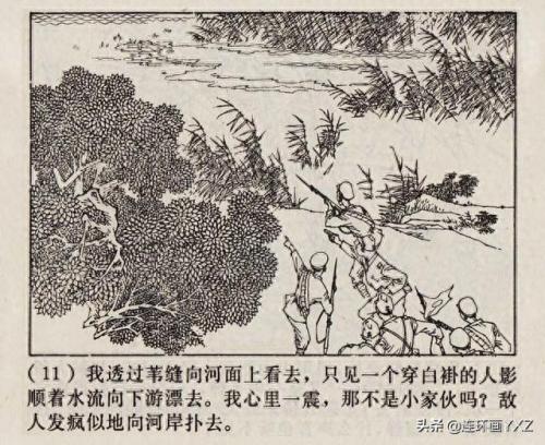 芦荡小英雄(电影芦荡小英雄)插图13