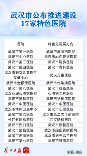 武汉前几医院排名前十(武汉十大精神病医院排名)插图4