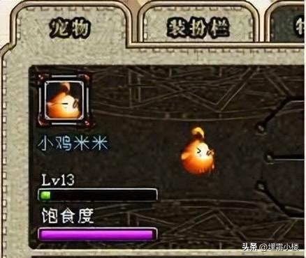 dnf亚米(dnf亚米怎么获得)插图