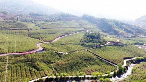 江都推荐景点排名前十(江都旅游十大景区)插图5
