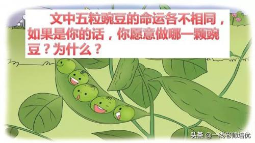 豌怎么组词-(豌可以怎么组词语)插图37