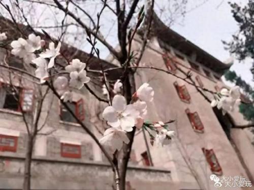 最有味道的大学排名前十(心理学排名前十的大学)插图4