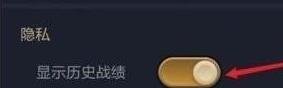 金铲铲之战战绩隐藏方法？金铲铲怎么隐藏对战记录(金铲铲之战如何看别人的对战记录)插图2