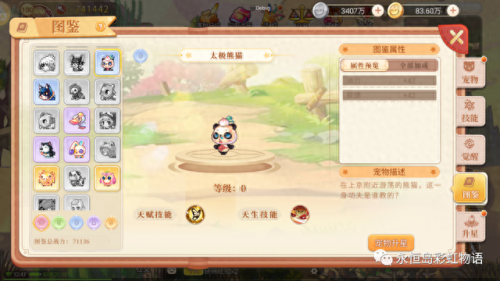 永恒岛稀有刷新时间(永恒岛哪些图鉴刷得快)插图11