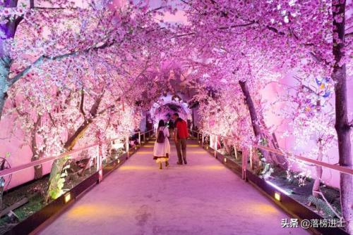 桃花源记好玩吗(桃花源记手游好玩吗)插图13