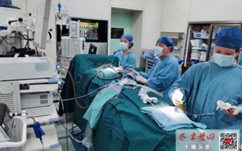十堰乳腺医院排名前十(十堰看甲亢哪个医院好)