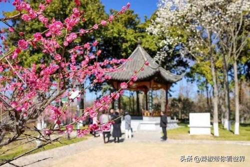 泰州古迹景点排名前十(泰州人文景点排名前十)插图55